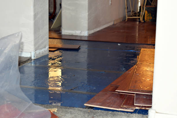 Professional Sewage Cleanup technician working in Asheville, NC
